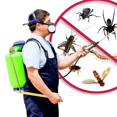 pest control Cardington